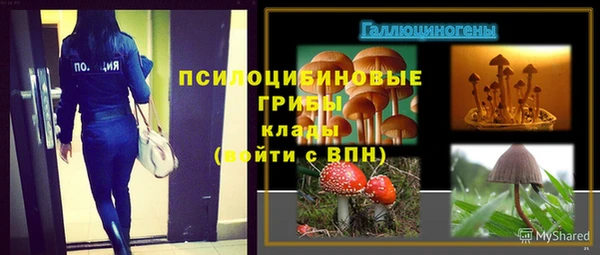 дживик Армянск